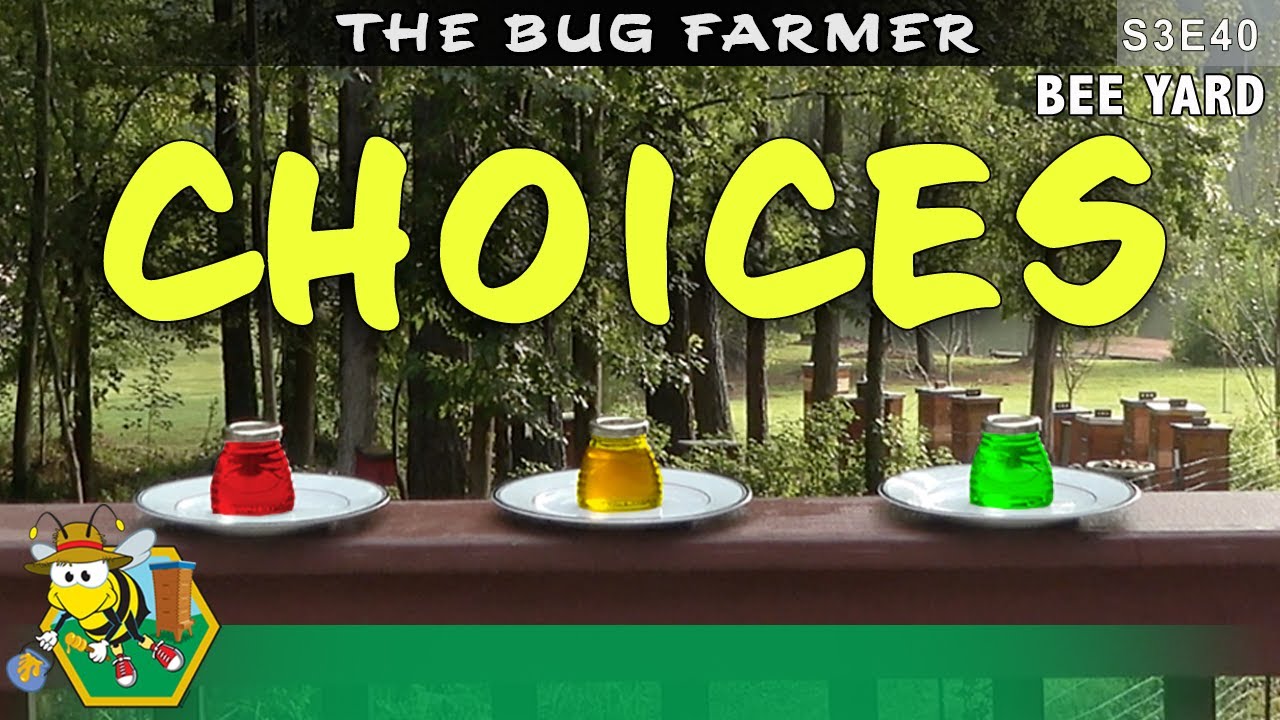 The Taste Test : Sugar syrup, honey, or dextrose, what will the bees prefer. 
