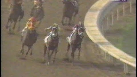 1996 Haskell Invitational Stakes