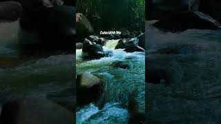 Calm With Me 🌿 Jungle River Ambience for Deep Relaxation #shorts