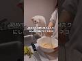 人間が料理してるとこを初めて見た猫。首を傾げたまま全然首の角度が戻らない。 #猫 #料理 #shorts