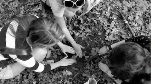 Plant a Tree - Save the Earth