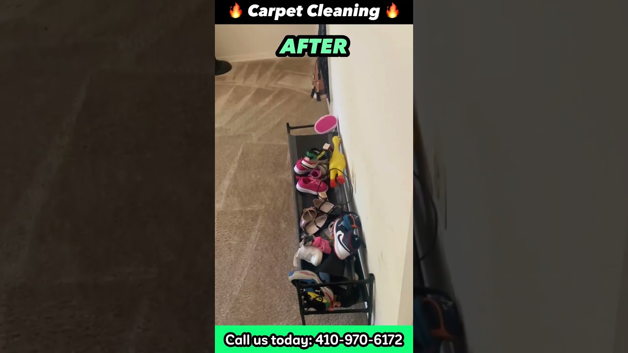 Witness the Magic: Before & After Carpet Cleaning in Baltimore!
