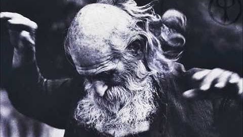 Deep Forest  Gathering