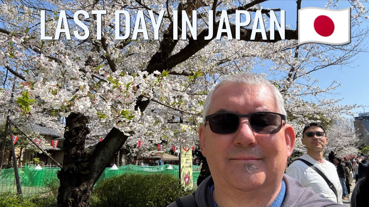 Мой последний день в Японии: Токийский национальный музей, динозавры и сакуры.