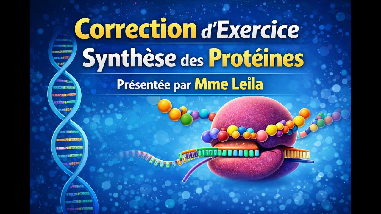 Correction d’Exercice : Synthèse des Protéines 🔬 | ADN → ARNm → Protéine (Méthode Facile)