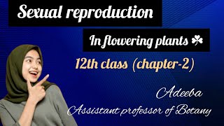 sexual reproduction in flowering plants/All board exam/12th class bio (chapter-2)