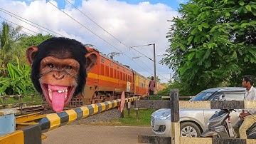 Dangerous Monkey Headed Malda intercity Express Extreme Angry Furious Moving Throughout at Railgate 