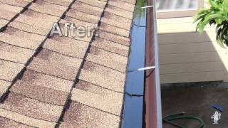 Gutter Cleaning Company in Berkeley