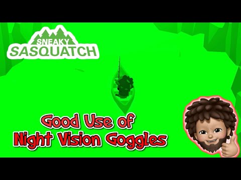 Sneaky Sasquatch - The use of Night Vision goggle - to Catch CaveFish