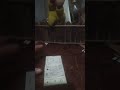 stop motion phone (AGAIN)