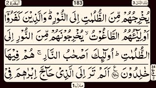 Surah Baqarah Ruku 35 - Para 3 | Beautiful Quran Recitation 🌹 | Amin Quran