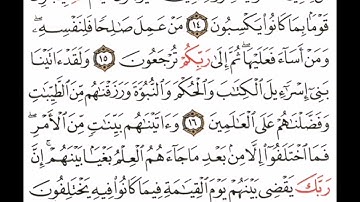 سورة الجاثية آية ١٤-١٧ #اكسبلور #القران#القاري attaullahfarooqi5219 عطاء الله فاروقي من الدوحة قطر