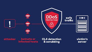 FortiDDoS-HTTP Flood Attacks And Mitigation Part 8