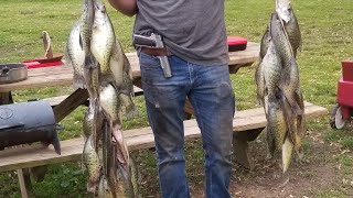 Filleting Crappie with Bubba Blade