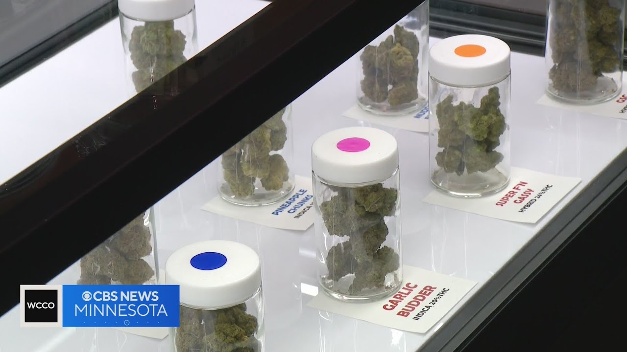 Minnesota could see high demand for cannabis dispensaries