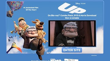 Up flash website in 2009