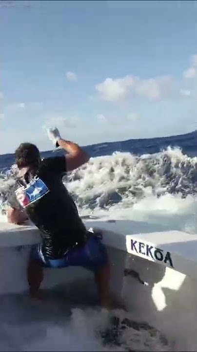GIANT 800lb BLACK MARLIN - #shorts #greatbarrierreef #australia #pelagic