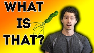 I Could Have Died!! H. Pylori