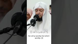 الشيخ #وديع_اليمني يبدع ويتألق بهذه التلاوة ( سورة الكافرون)