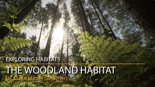 The Woodland Habitat - Exploring Habitats