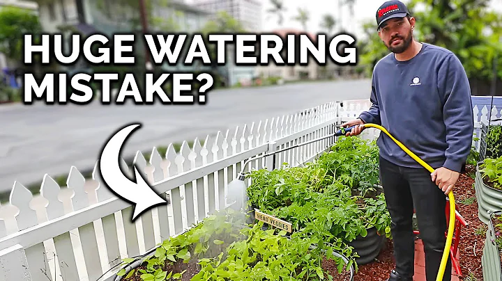 5 Watering Mistakes You're Probably Making - DayDayNews