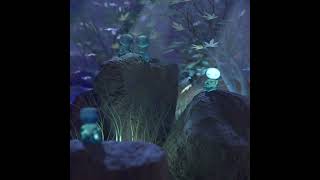 Echo Collective - Rebirth