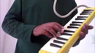 Bob Marley - Waiting in vain (melodica)