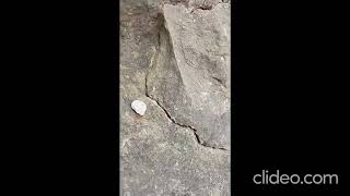 Música relajante Camí de s'Arxiduc (Mallorca)⛰