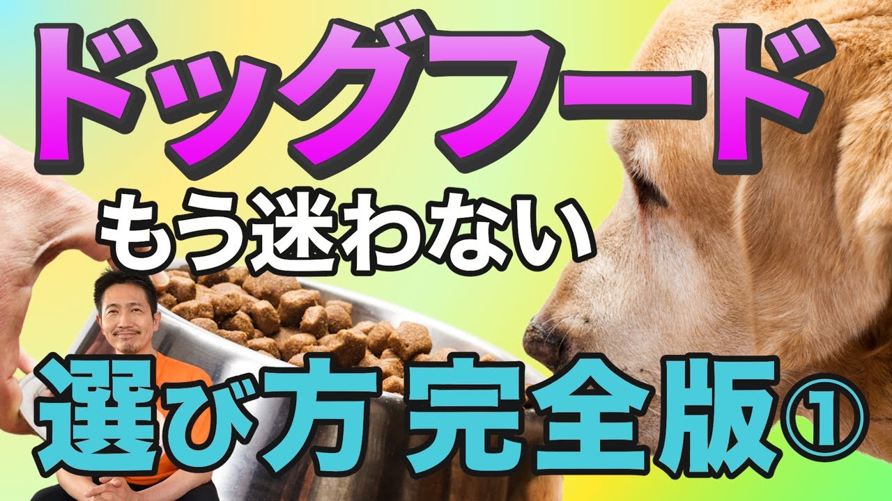 【ドッグフード保存版】①もう迷わないドッグフード♪