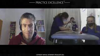 Live-guided cardiac ultrasound with Dr Pedro Oliveira from Virtual Veterinary Specialists  (VVS)