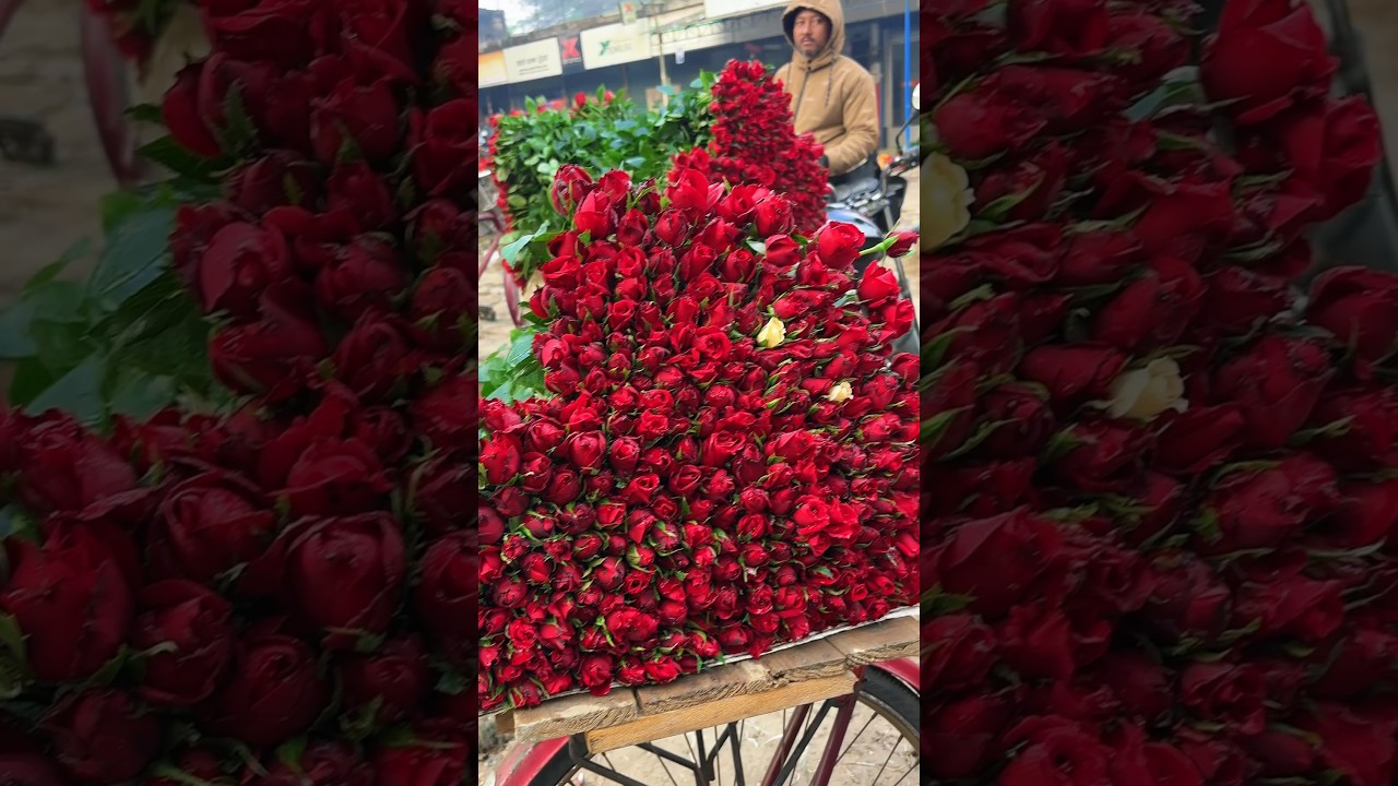 গদখালীতে ফুলের দাম কেমন? 