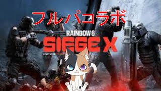 【シージ】よちよちだけどフルパ