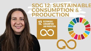 SDG 12 Sustainable Consumption and Production - UN Sustainable Development Goals - DEEP DIVE