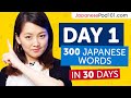 Day 1 10300  learn 300 japanese words in 30 days challenge