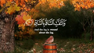 قران كريم القارئ عبد الرحمن العوسي (إن الأنسان خلق هلوعا