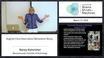 7.7 - Sugita’s Face Deprivation Behavioral Study