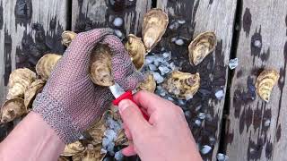 Oysters XO Step 3 of How to Shuck an Oyster (3/5)