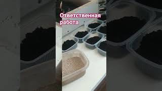 ВЫХОДНОЙ РАБОЧИЙ ДЕНЬ #shorts #андрей_целиноград #рыбалка #наживка #дендробена #fishing