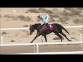 RM 20 Al Rayyan Race 3 - Al Gharafa Cup