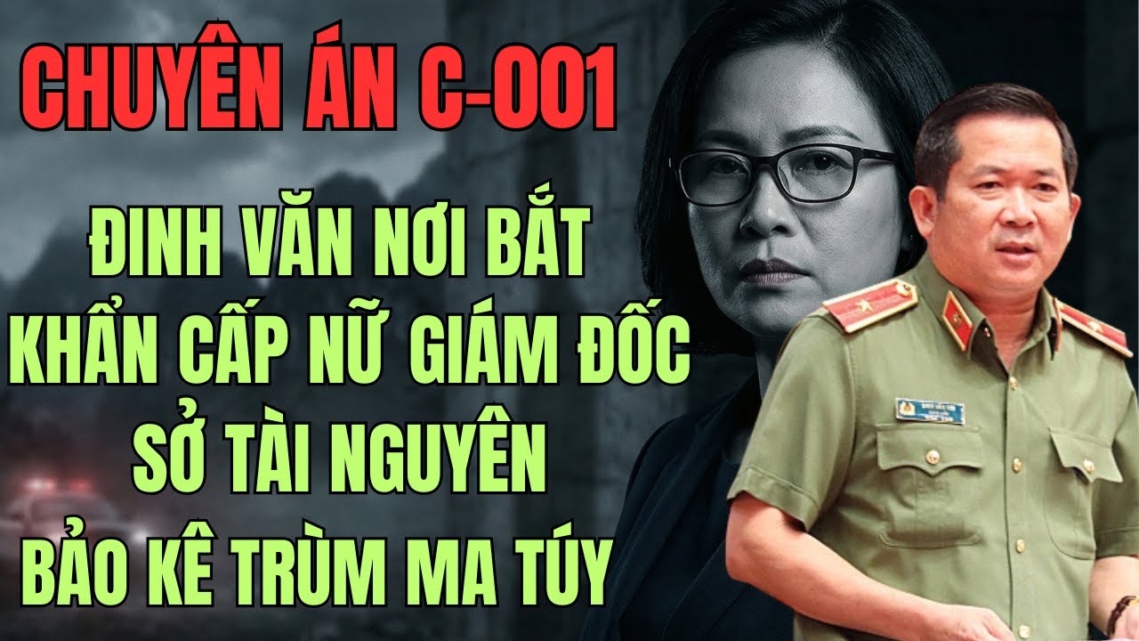 CHUYÊN ÁN RÚNG ĐỘNG NỮ GIÁM ĐỐC SỞ TÀI NGUYÊN BẢO KÊ TRÙM MA TÚY | KỲ ÁN X