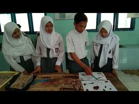 belajar sambil bermain #shortvideo #suksesselalu #beljar