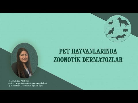 Pet Hayvanlarından İnsanlara Bulaşabilen Deri Kaynaklı Hastalıklar