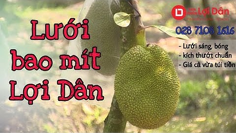 Lợi Dân TV| LƯỚI MAY TÚI BAO MÍT | TIẾT KIỆM GẤP ĐÔI.  028 7108 1616