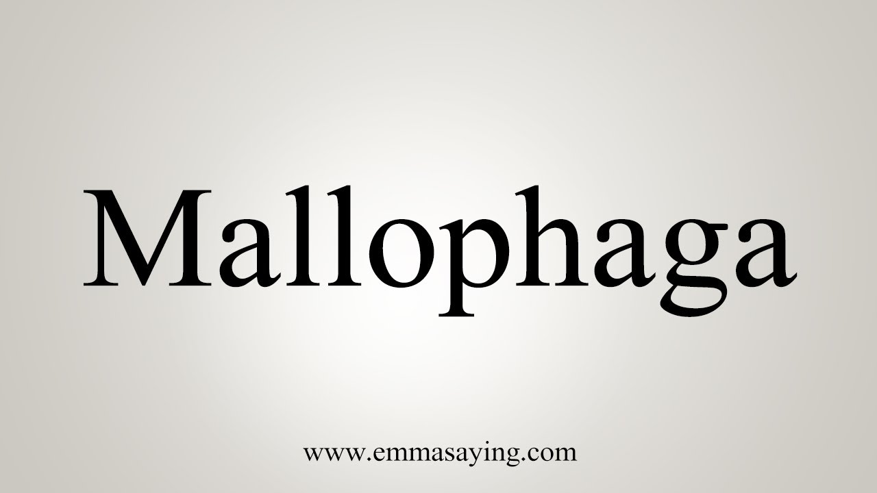 phthiraptera pronounce