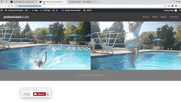 Divi: How to change logo and favicon on Divi Wordpress website