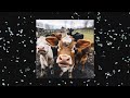 Cows topic  fanchat worldwide 788