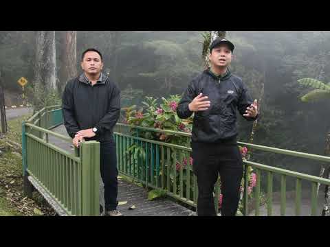 Video: Panduan Tumbuhan Invasif - Maklumat Mengenai Pertumbuhan Tumbuhan Invasif