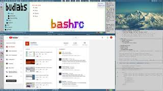 NO JS webdev -- the secret CSS checkbox DIRTHACK (+ i3wm CRASH at the end ;)
