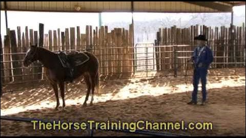 Champion Tip: Get started with what you have, start early to have time to build confidence