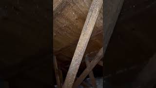 Roof Survey Ático-Edson Desouza -  5417 NW 184th Street Miami Gardens FL 33055